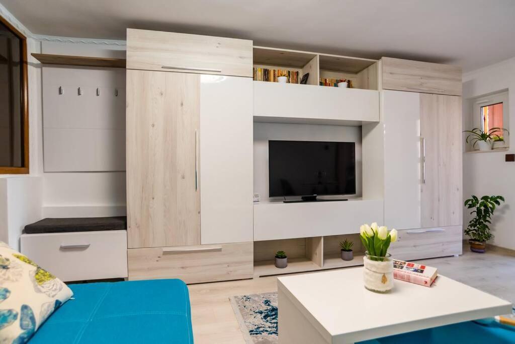 Cozy House With Nice Garden In Heart Of City Center Villa Cluj-Napoca Luaran gambar